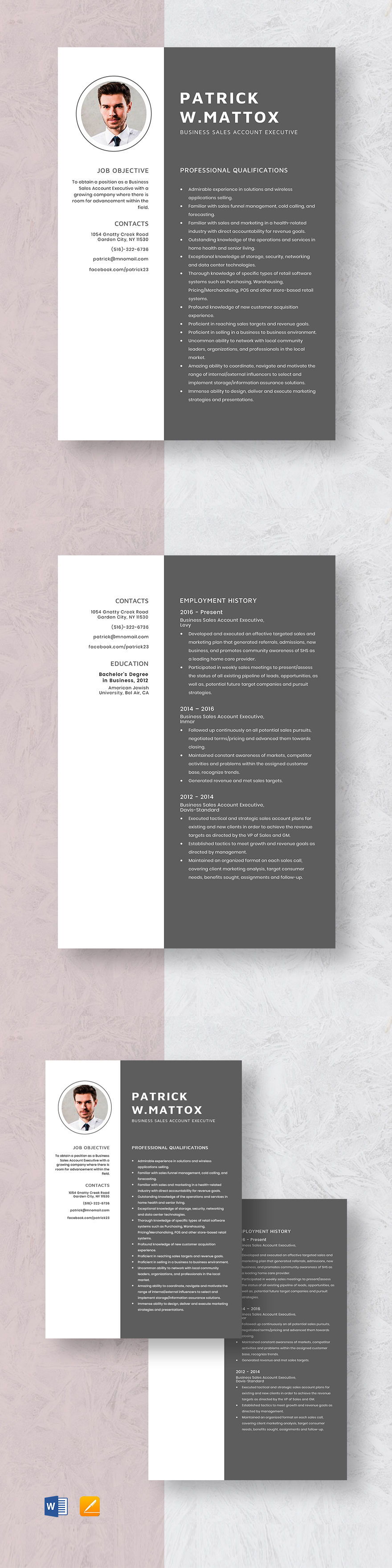 employee-benefits-account-executive-resume-template-word-apple-pages