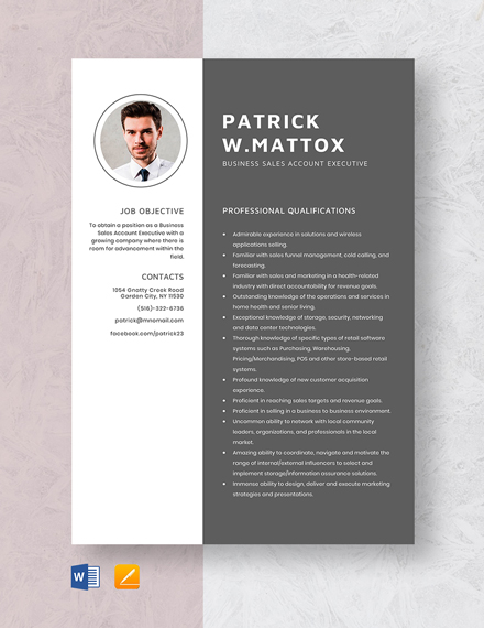 mba-sales-executive-resume-download-in-word-psd-apple-pages