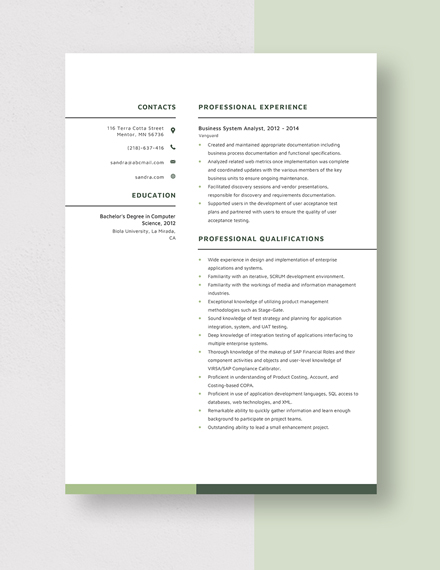 Business System Analyst Resume Template