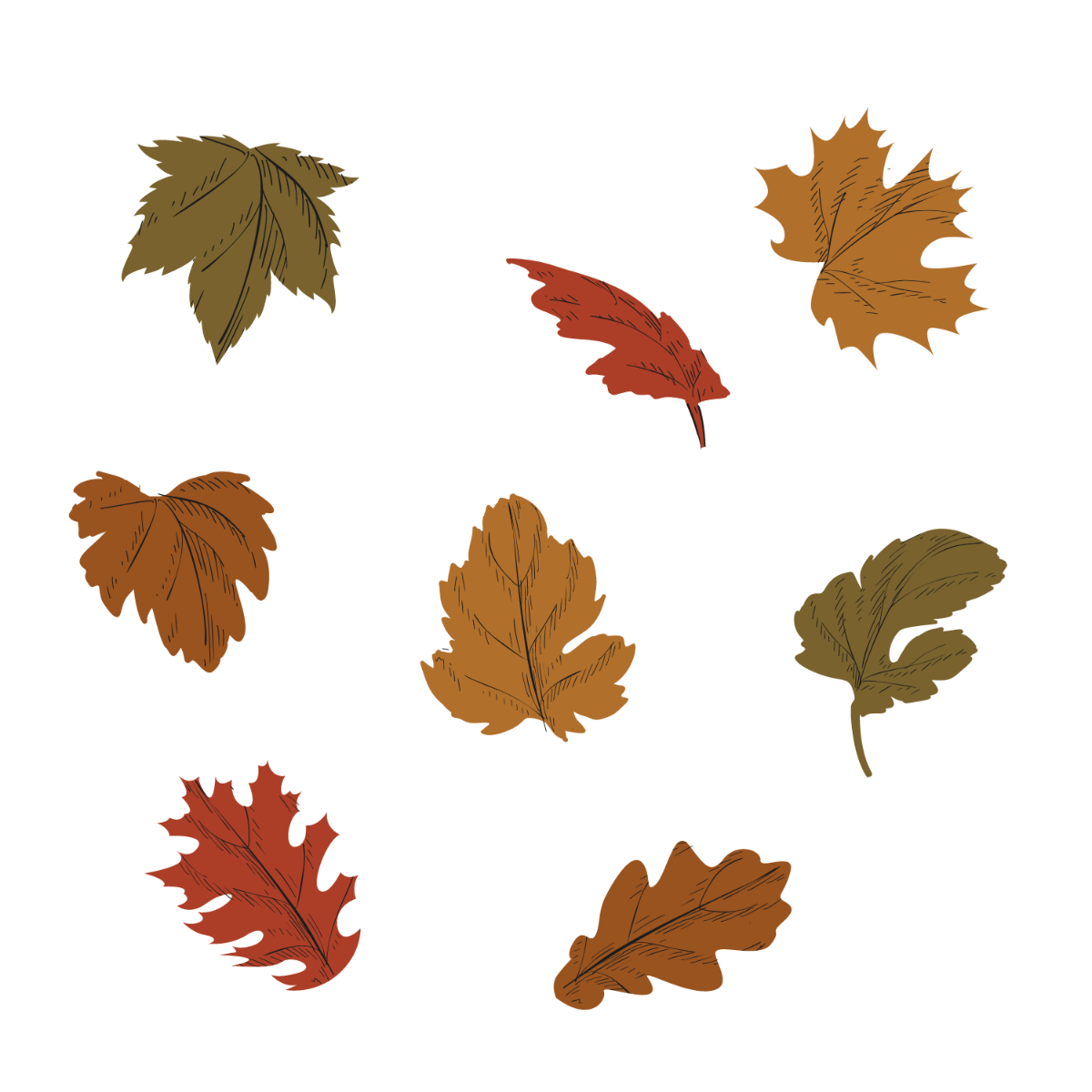 Free Dry Leaves Vector Template