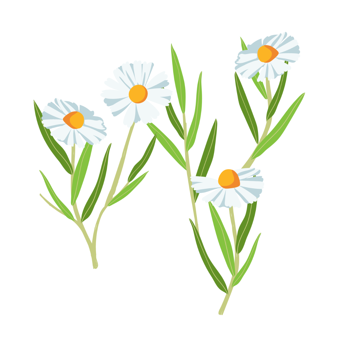 Free Daisy Leaves Vector Template