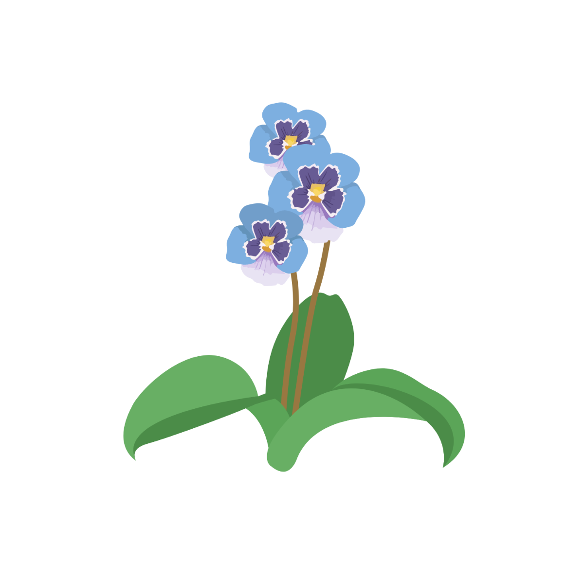 Free Orchid Leaves Vector Template