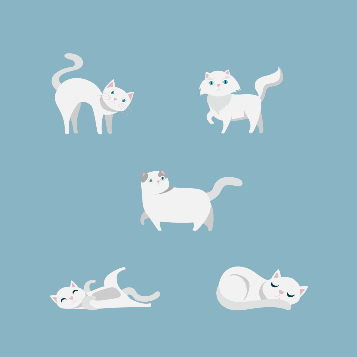 White Cat Vector Template