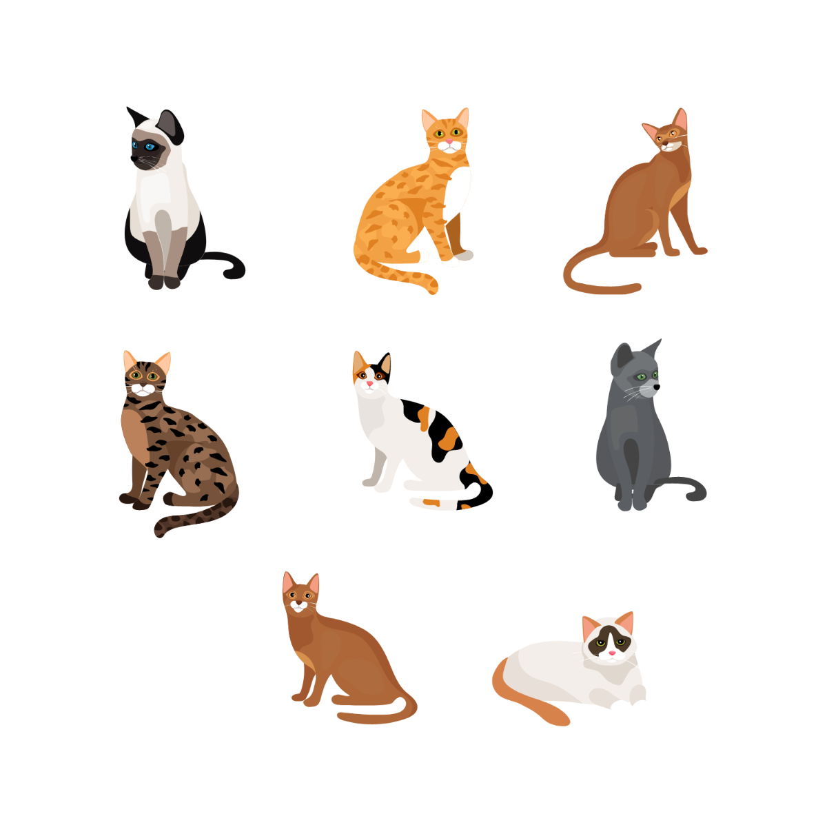 Free Cat Sitting Vector Template
