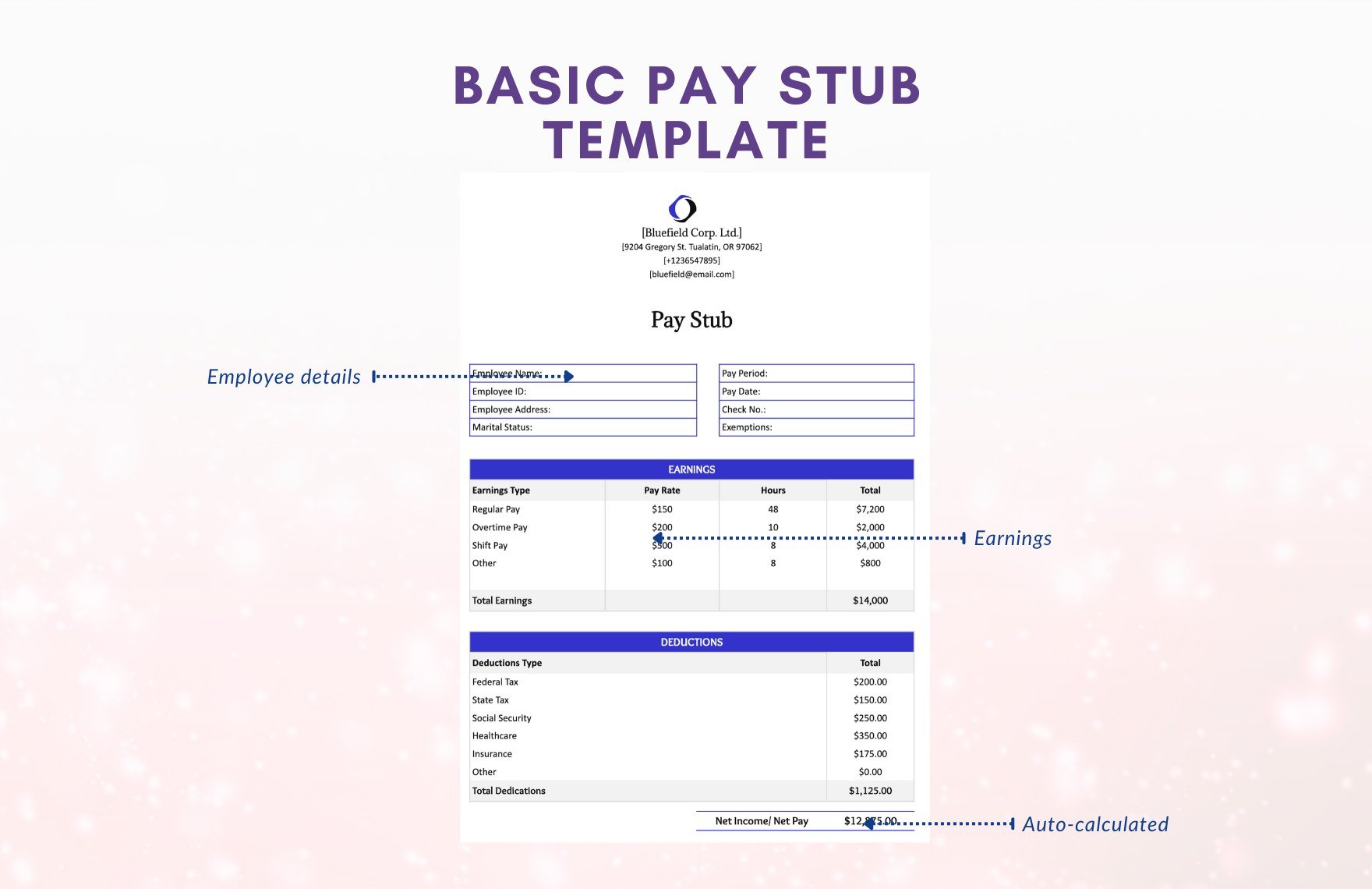 Basic Pay Stub Template