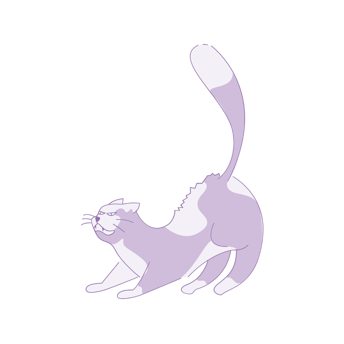 Angry Cat PNG Transparent Images Free Download, Vector Files