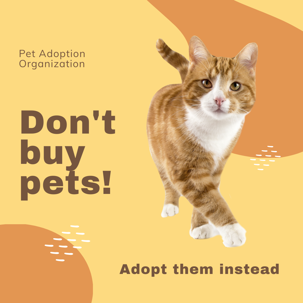 Pet Adoption Linkedin Post Template
