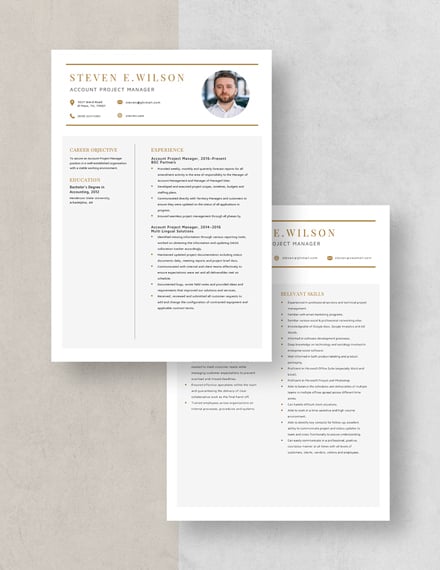 Account Project Manager Resume Download
