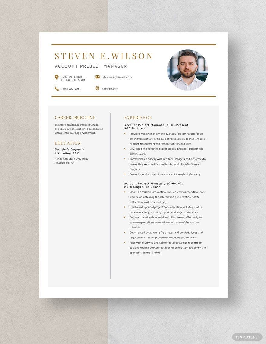 project manager resume template microsoft word