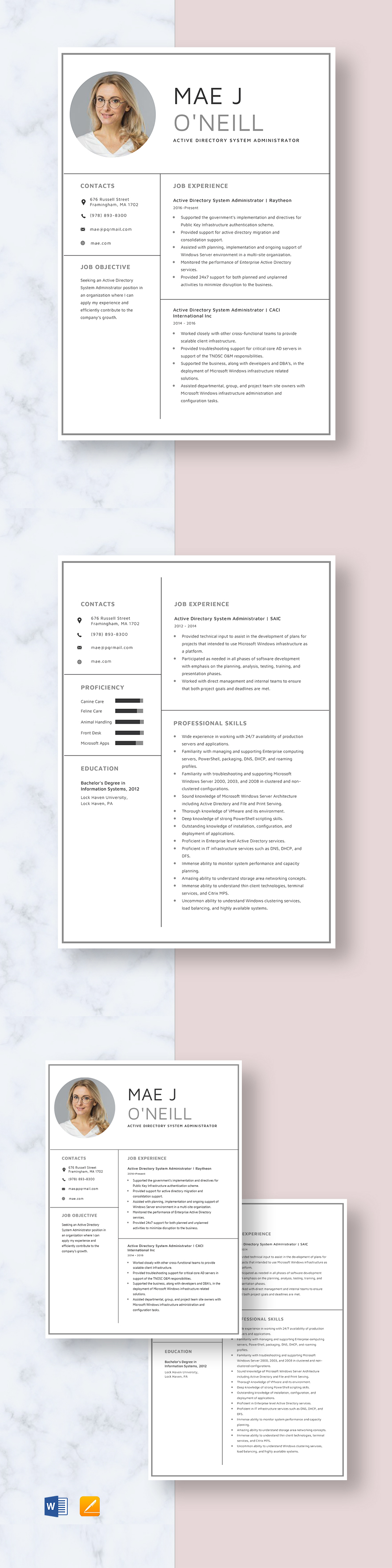 Free Postsecondary School Administrator Resume Template Word Apple