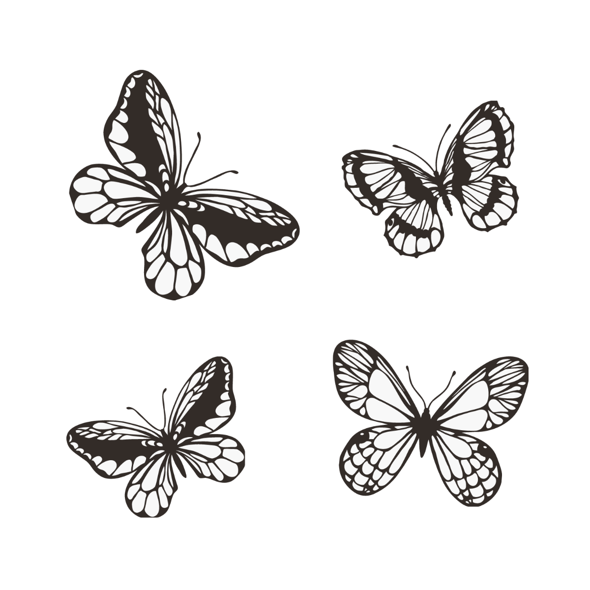 White Butterfly Vector Template