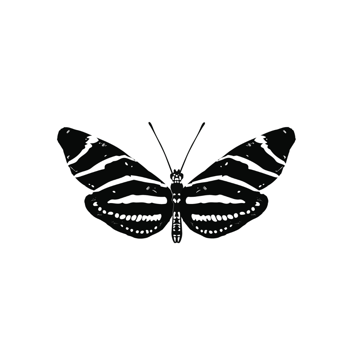 Zebra Butterfly Vector Template