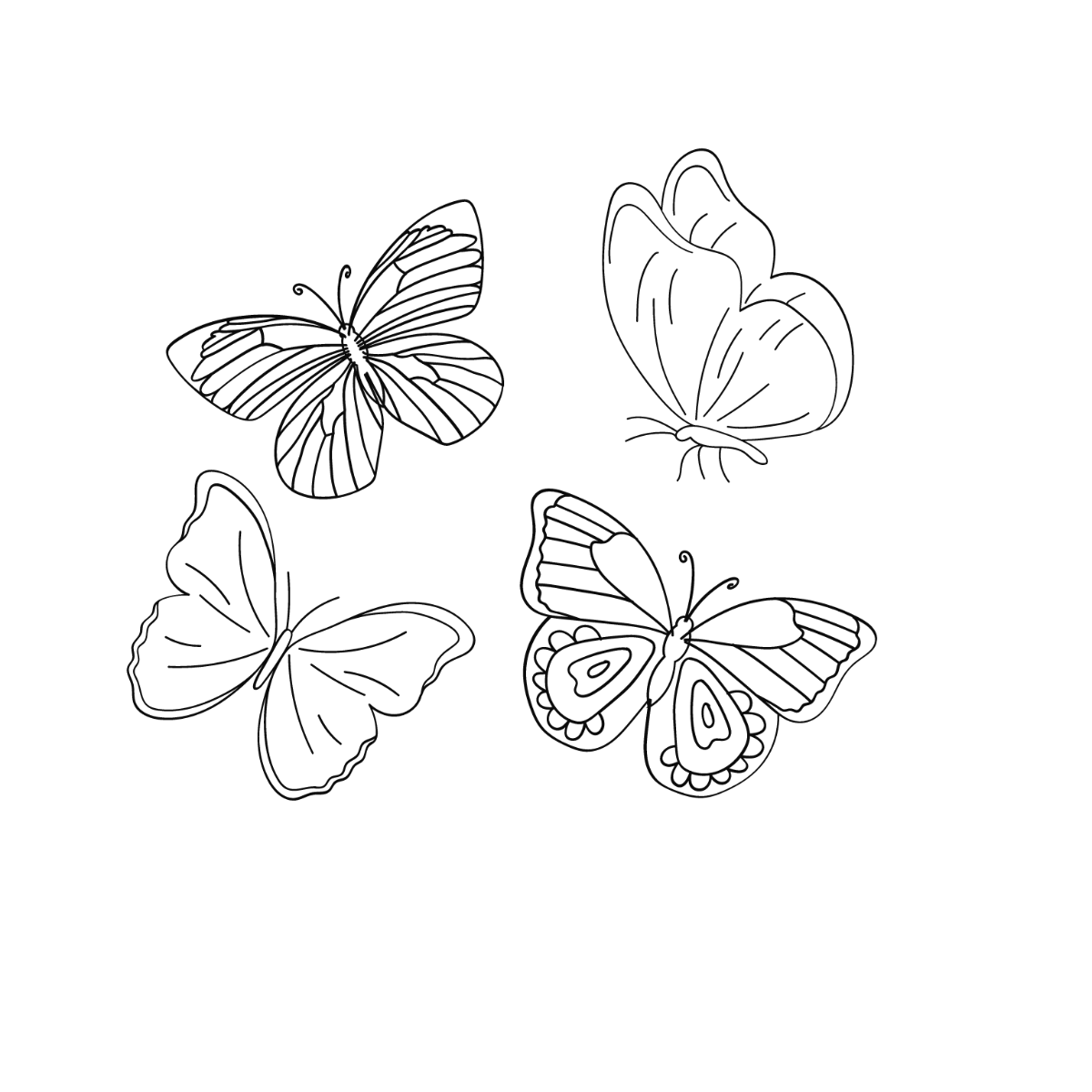 Free Butterfly Outline Vector Template