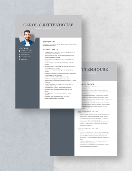 Agency Account Executive Resume Download