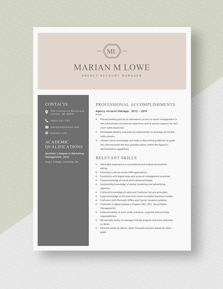 Agency Account Manager Resume Template