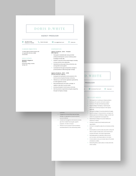 Agency Producer Resume Download