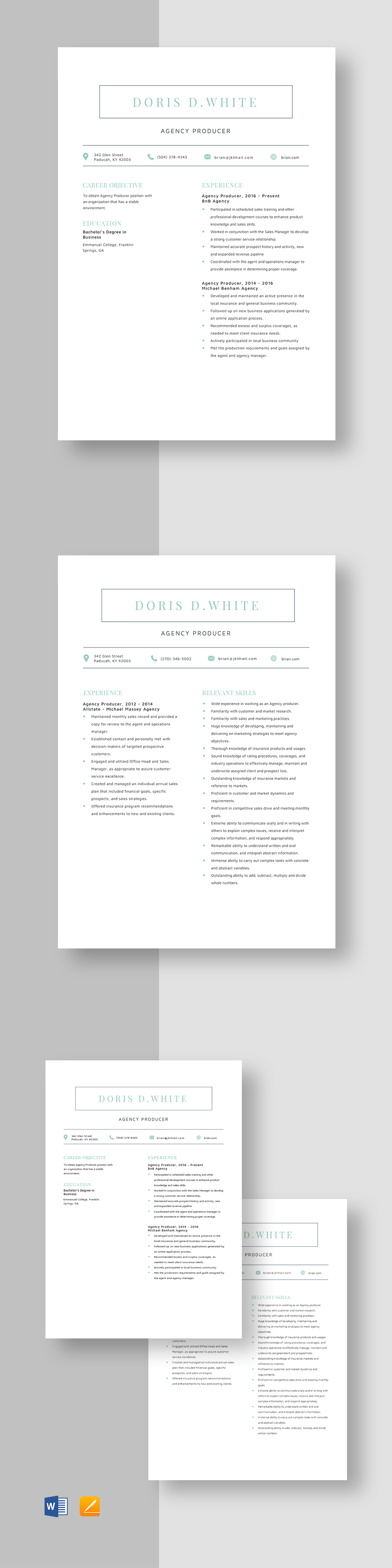 Free Agency Producer Resume Template Word, Apple Pages