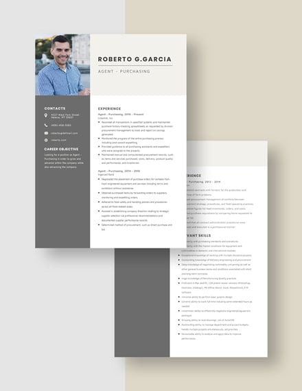 Agency Sales Manager Resume Download