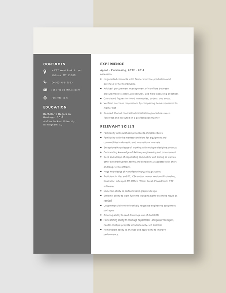 Agency Sales Manager Resume Template
