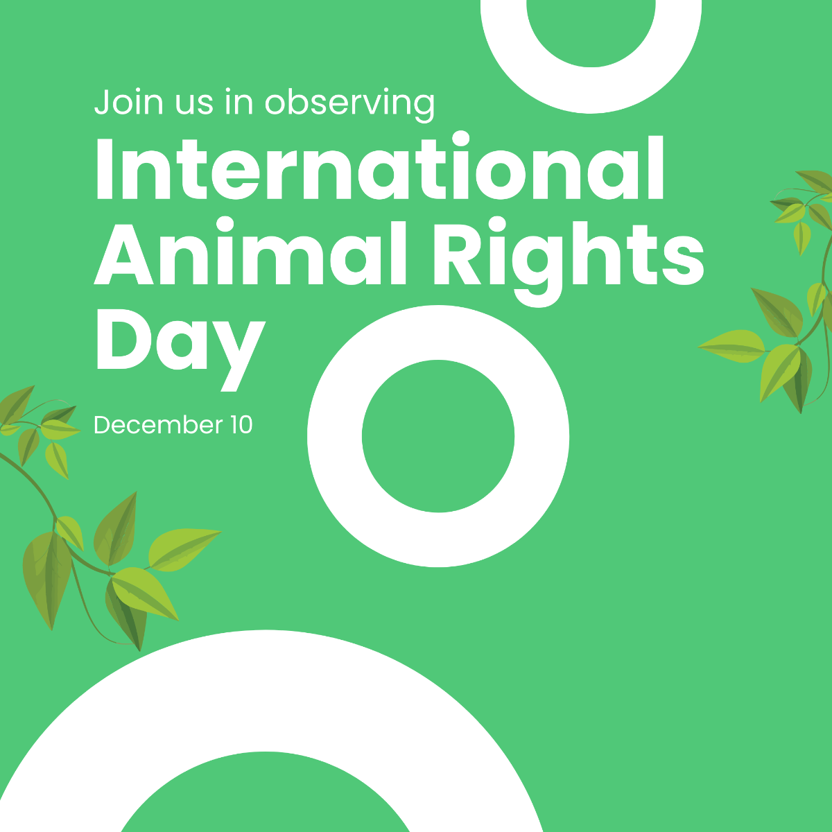International Animal Rights Day Instagram Post Template