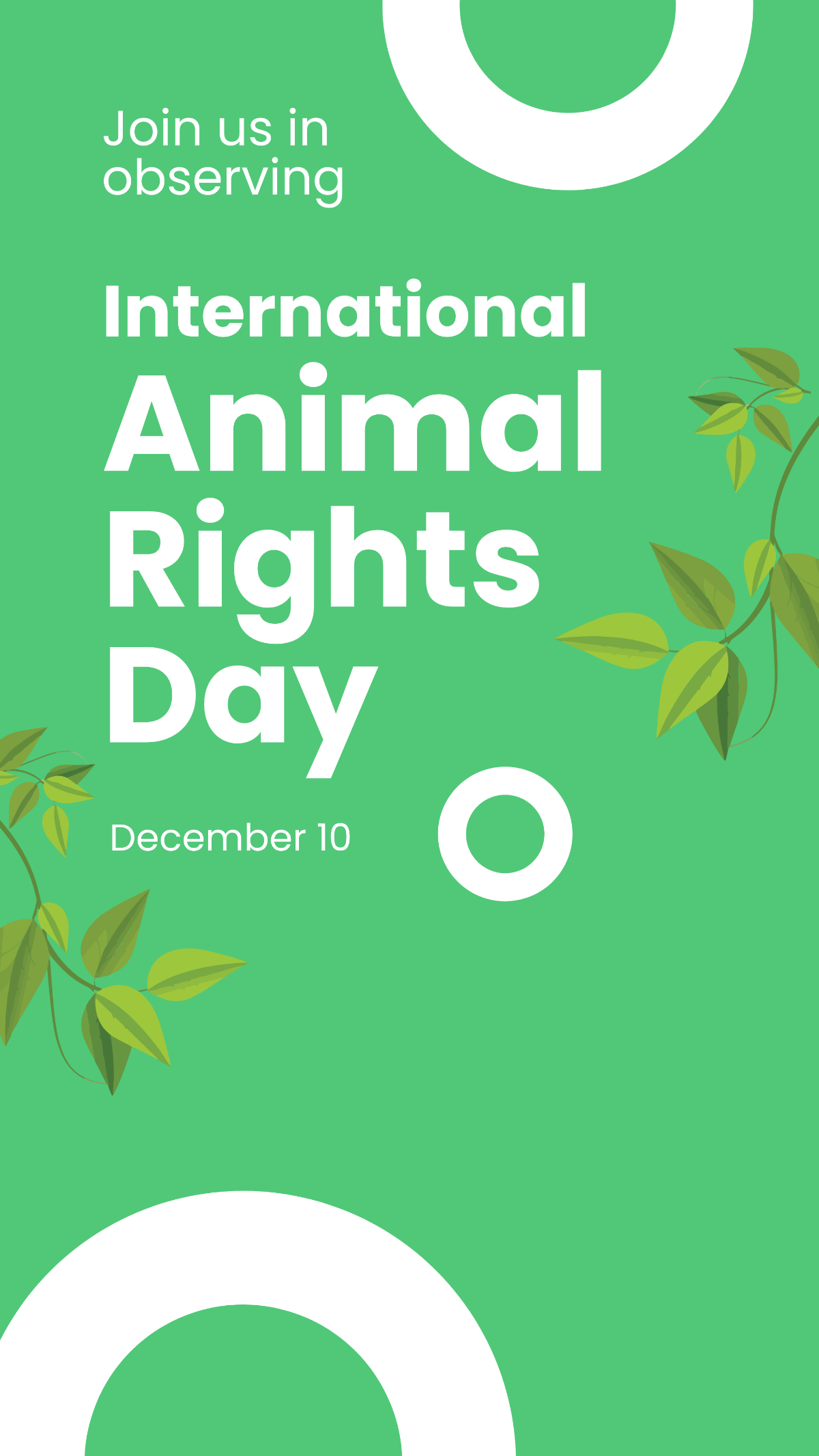 International Animal Rights Day Instagram Story Template