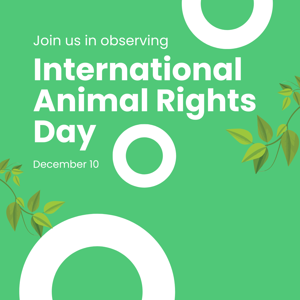 International Animal Rights Day Linkedin Post Template