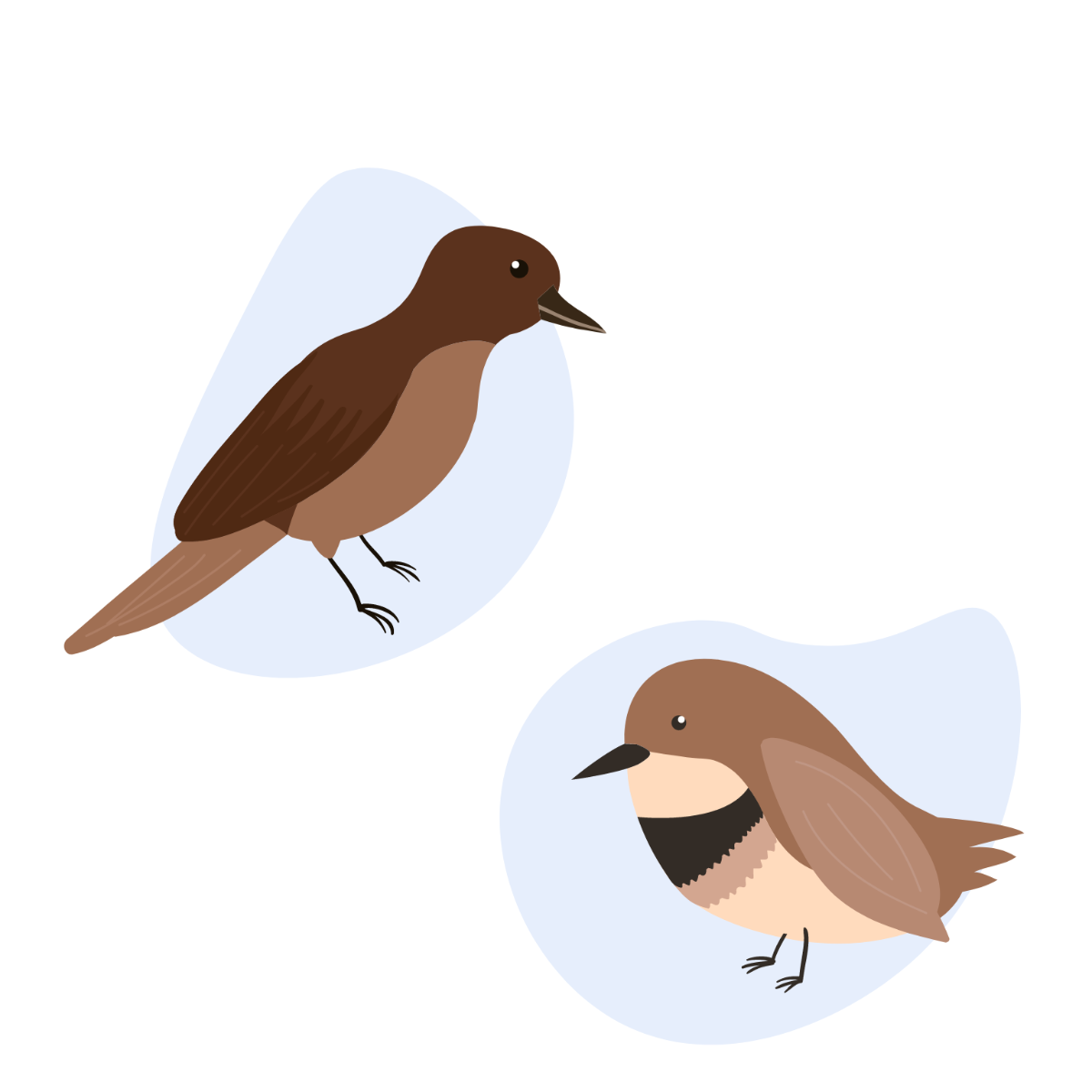 Simple Bird Vector Template