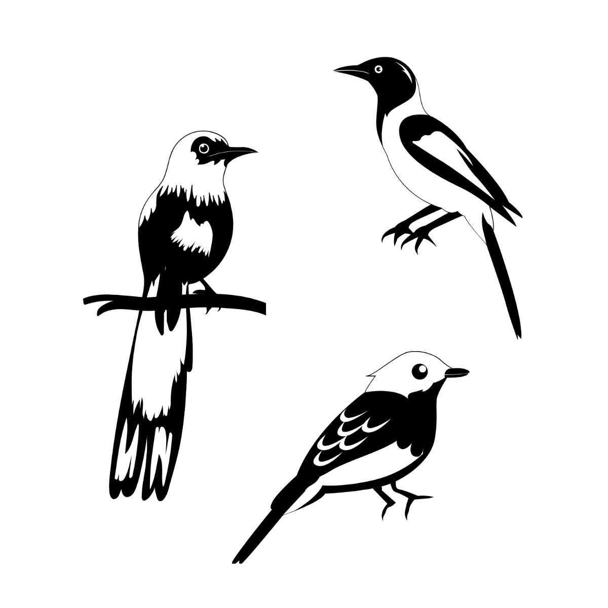 Black and White Bird Vector Template