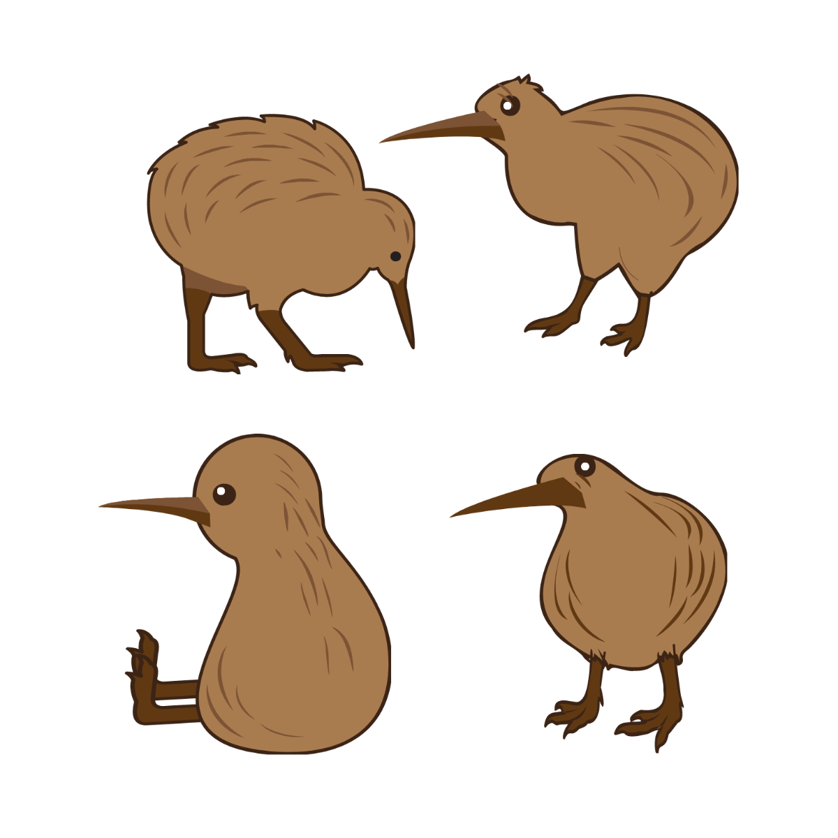 Free Kiwi Bird Vector Template