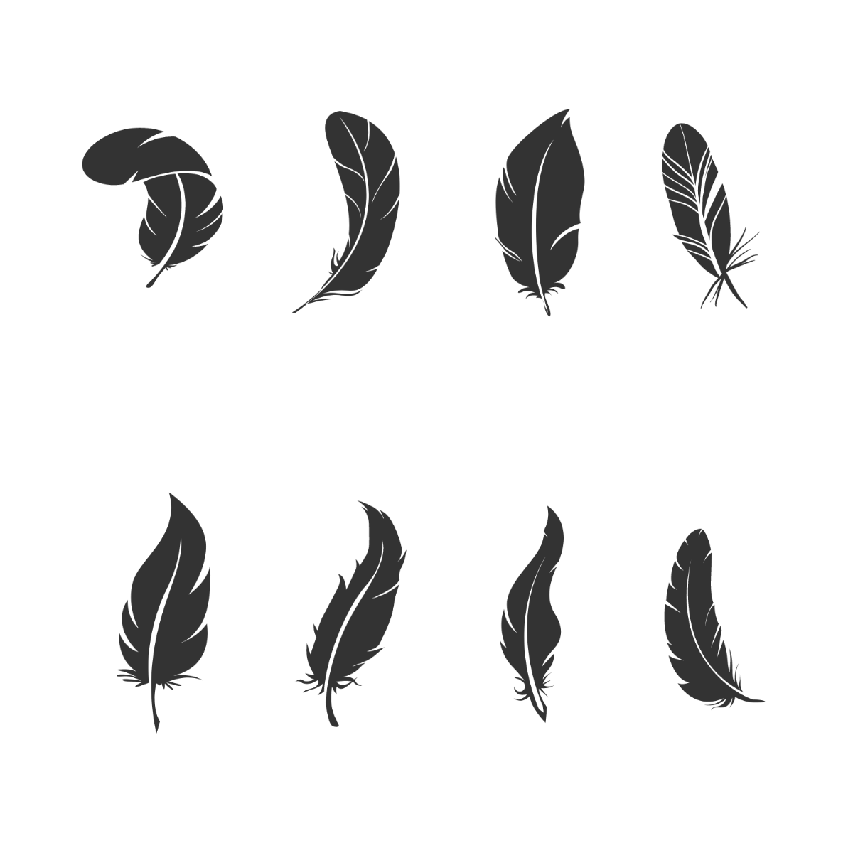 Bird Feather Vector