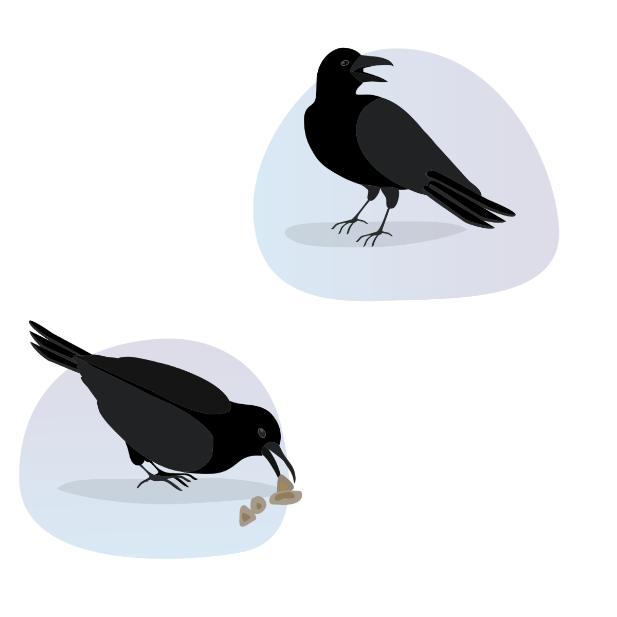 Crow Vector Template