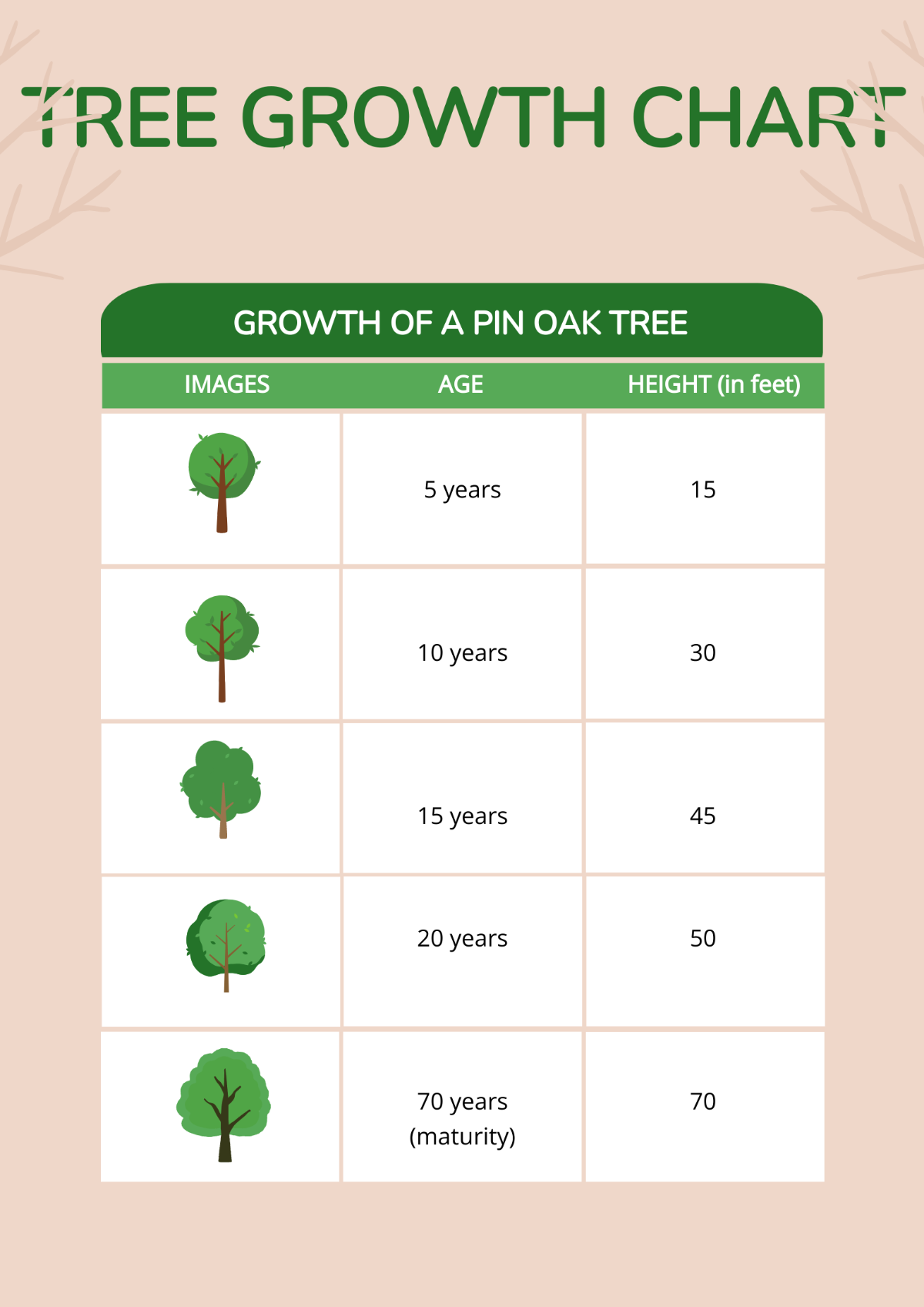 Tree Growth Chart Template