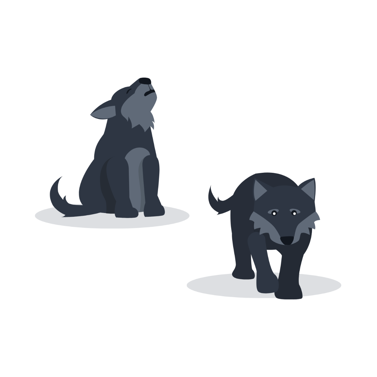 Baby Wolf Vector Template