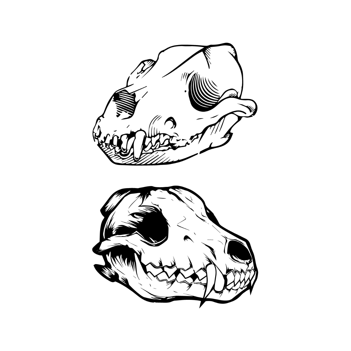 Wolf Skull Vector Template