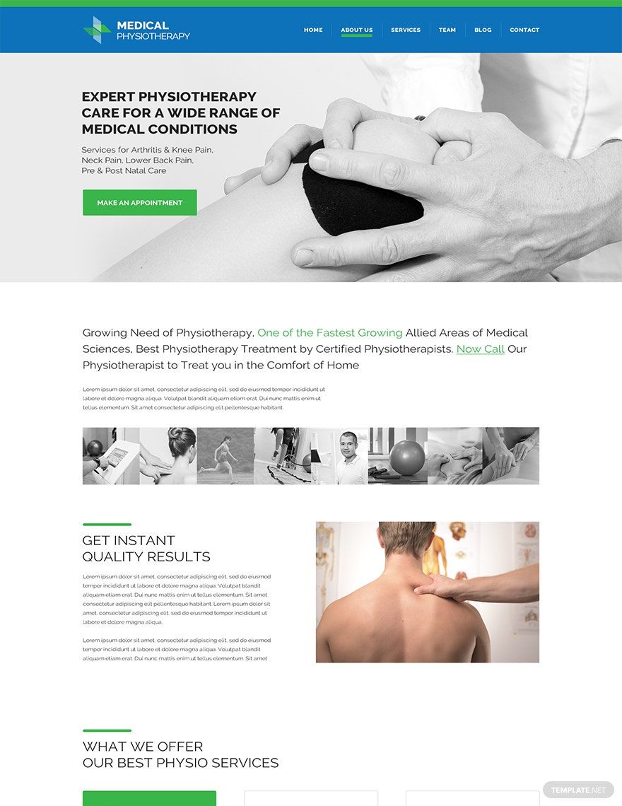 Physiotherapy WordPress Theme/Template