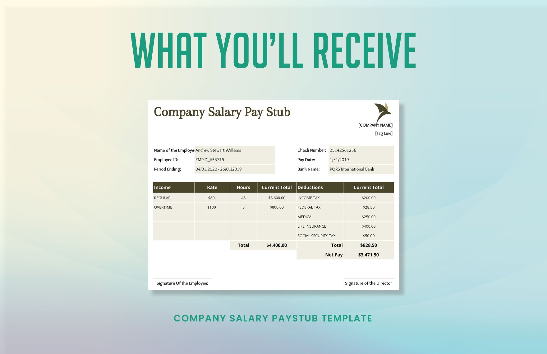 Company Salary Pay Stub Instructions