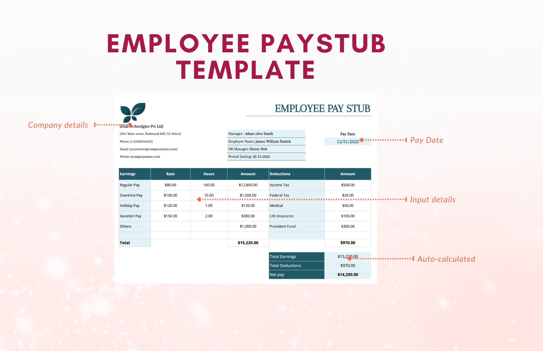 Employee Pay Stub Template