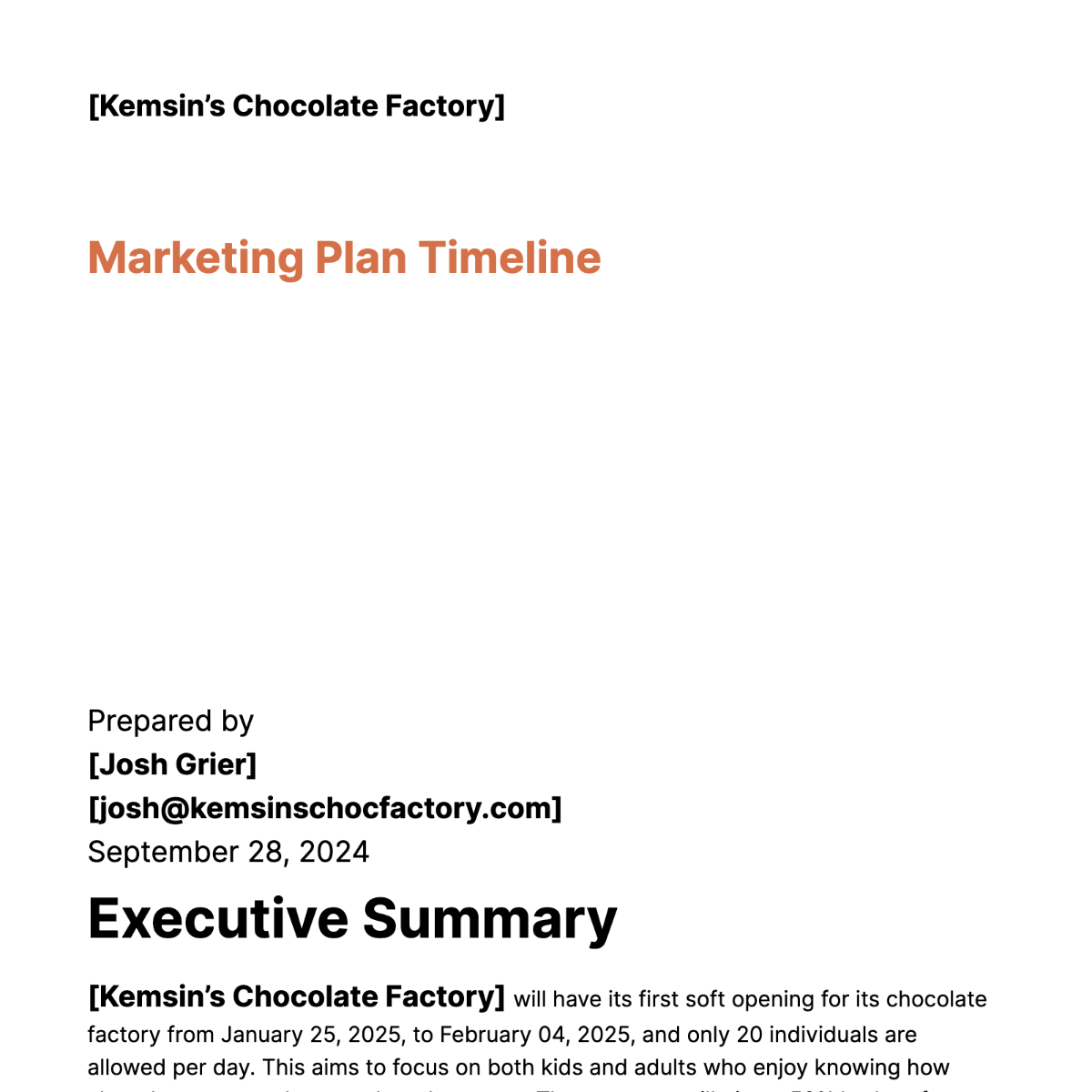 Marketing Plan Timeline Template