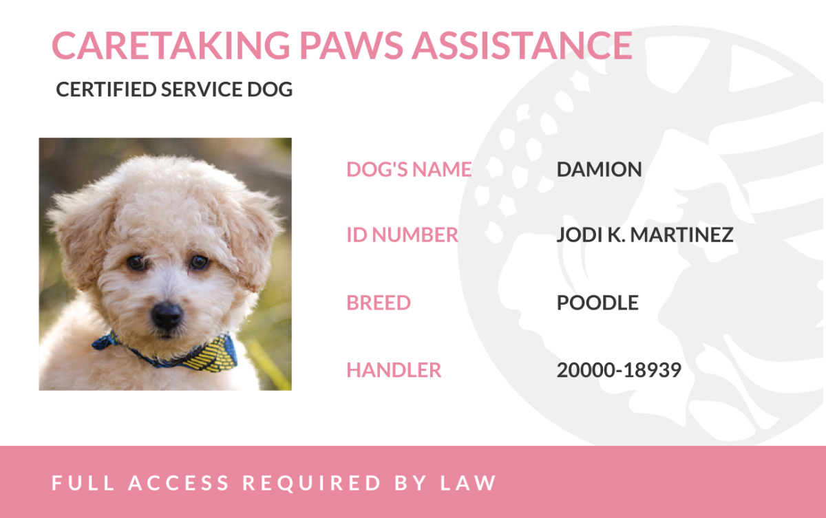 Free Service Dog ID Card Templates, Editable and Printable