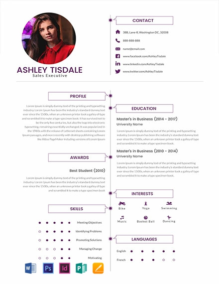 MBA Sales Executive Resume Template - InDesign, Word, Apple Pages, PSD, Publisher