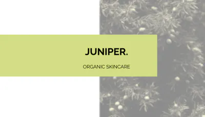 Free Juniper Business Card Template to Edit Online