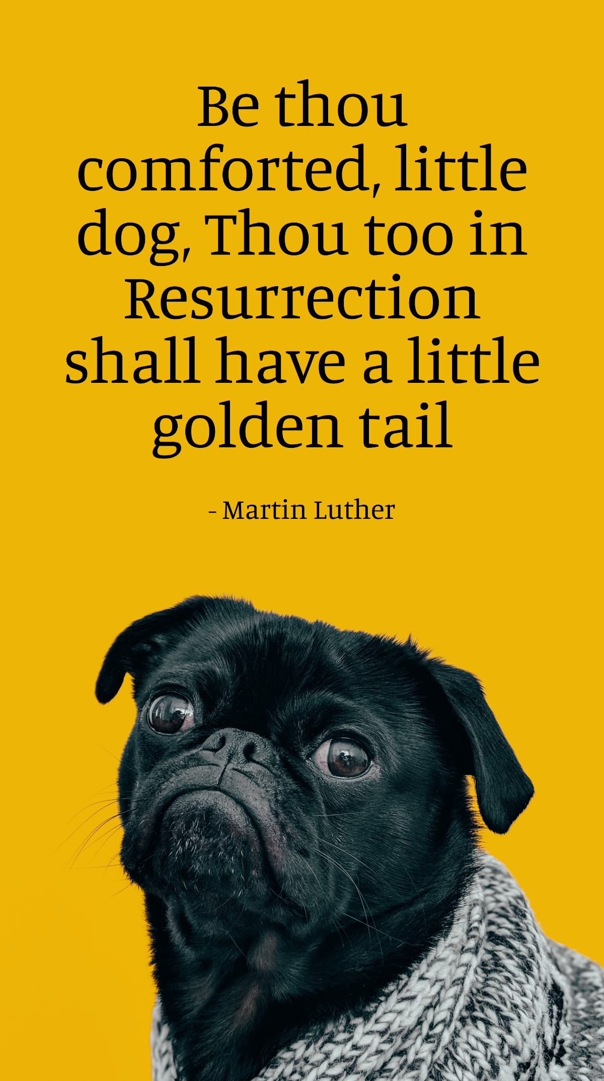 Martin Luther - Be thou comforted, little dog, Thou too in Resurrection shall have a little golden tail Template