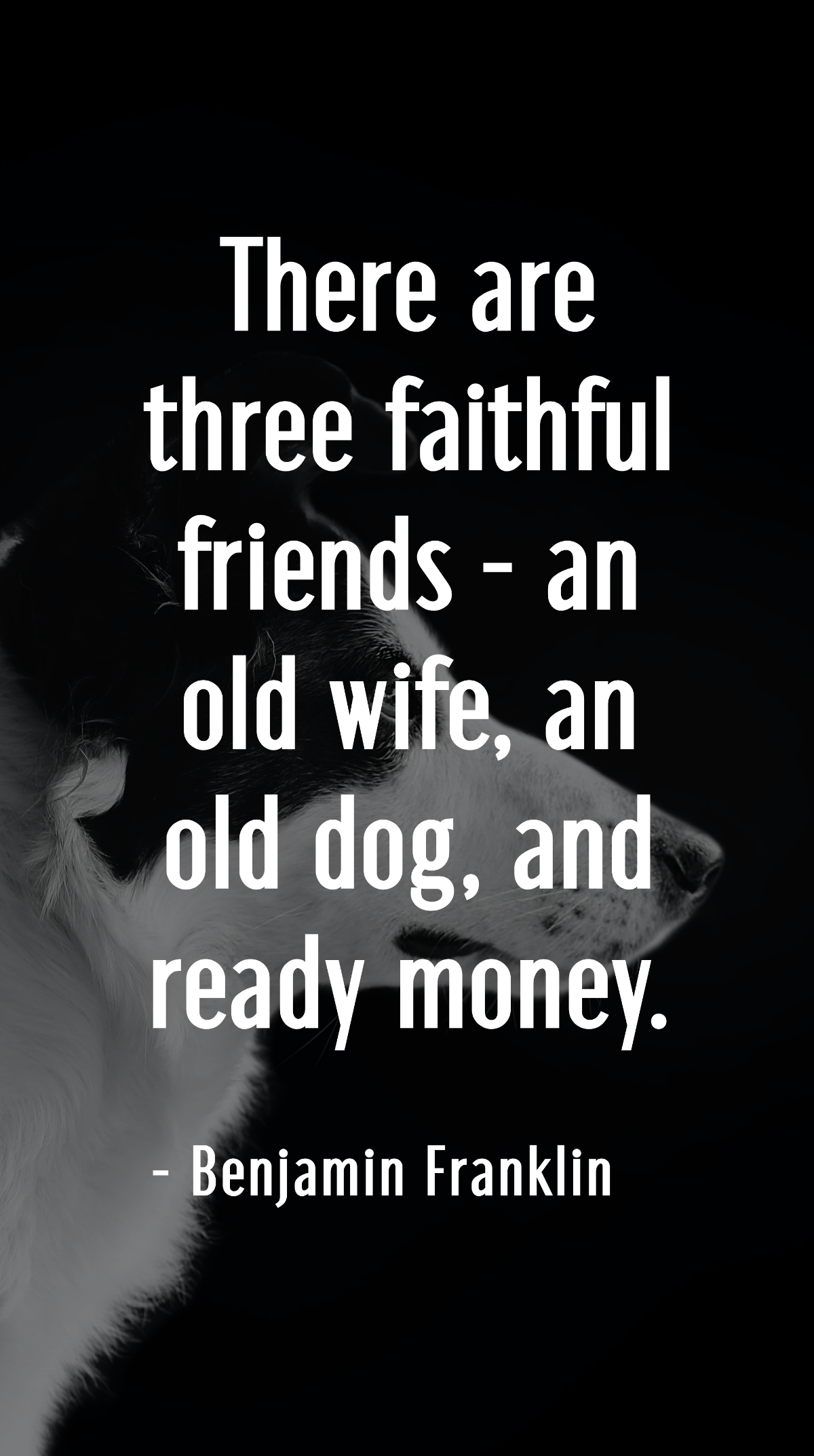 Benjamin Franklin - There are three faithful friends - an old wife, an old dog, and ready money. Template