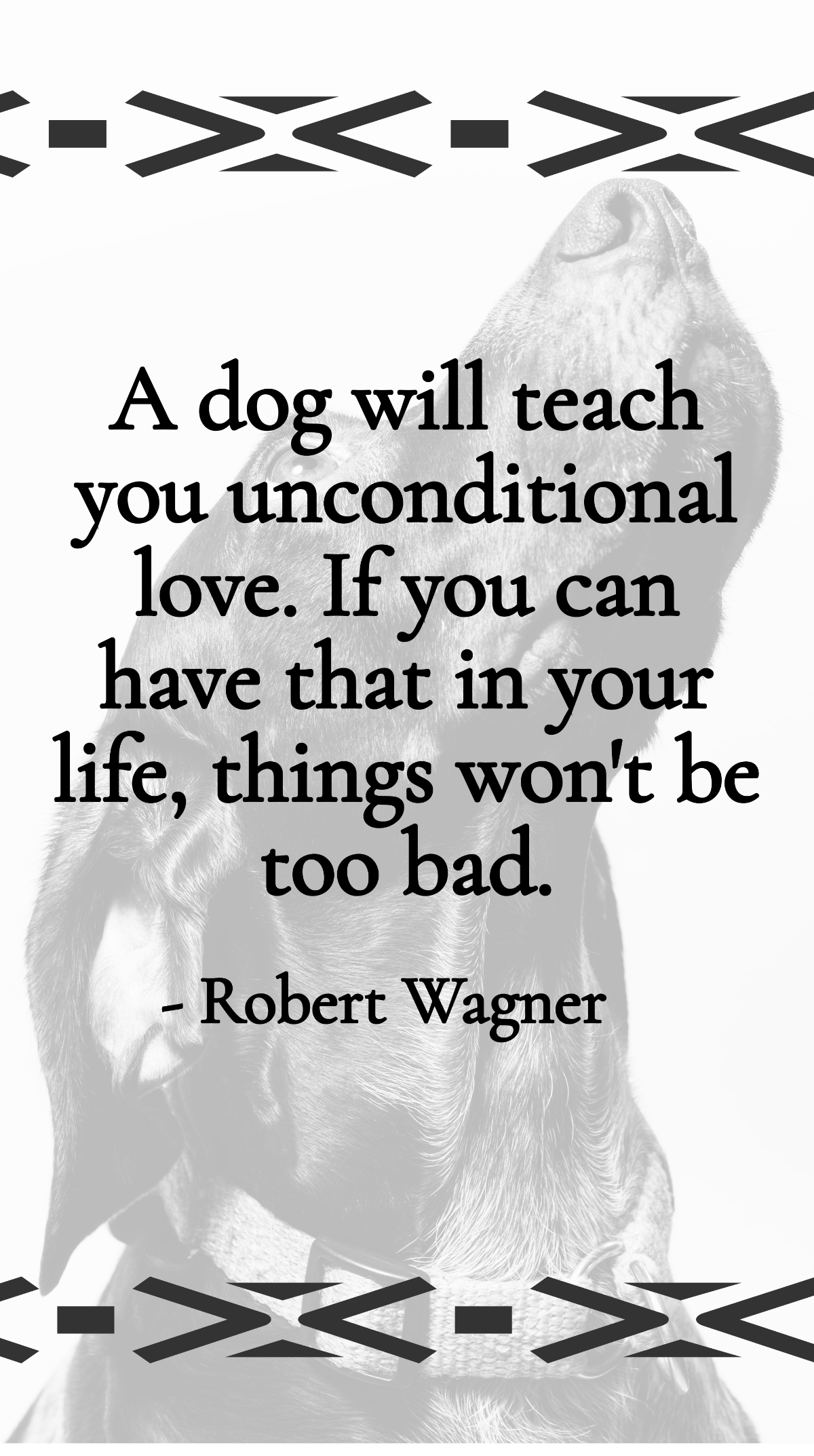 Robert Wagner - A dog will teach you unconditional love. If you can have that in your life, things won't be too bad. Template
