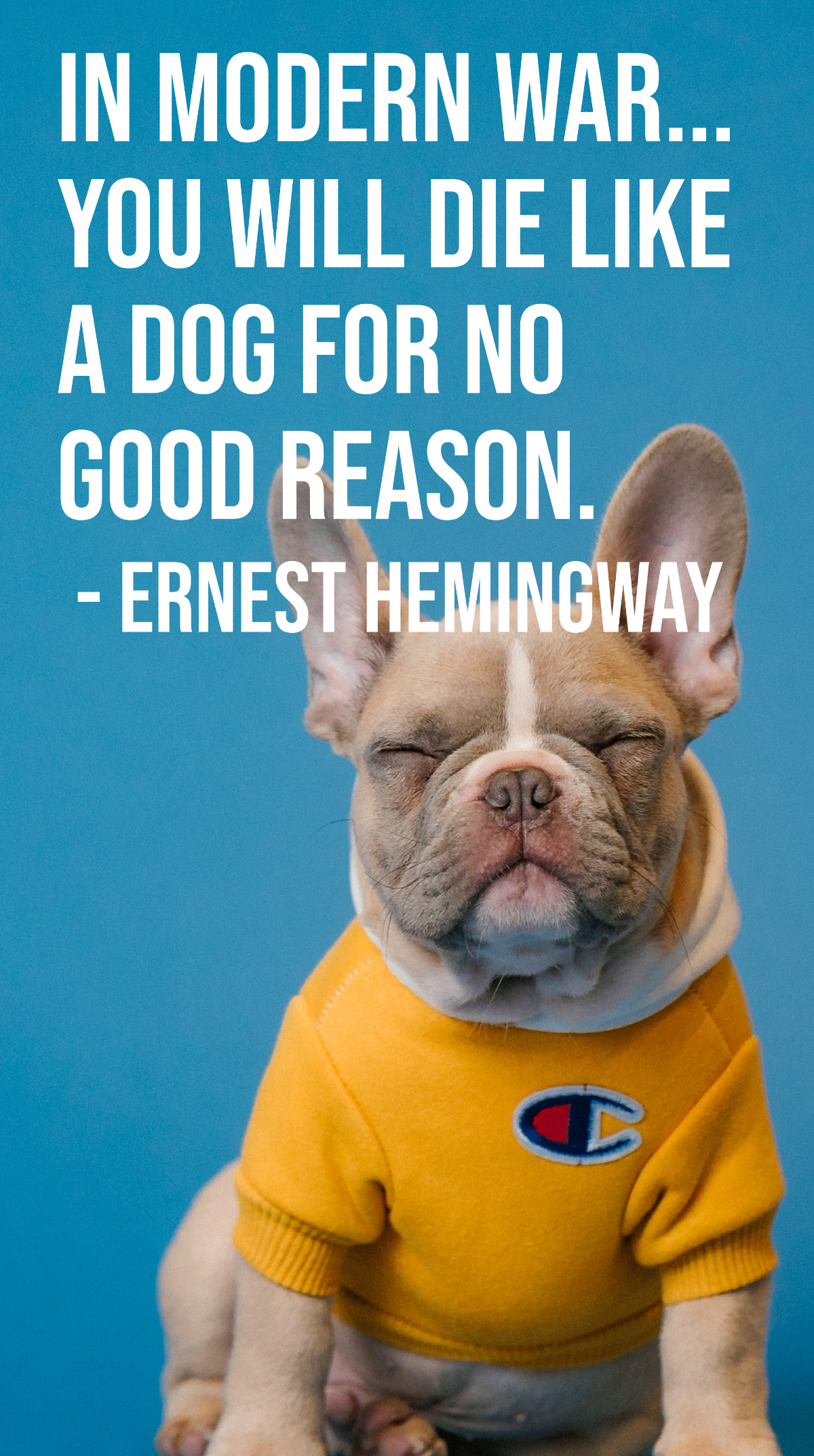Ernest Hemingway - In modern war... you will die like a dog for no good reason. Template