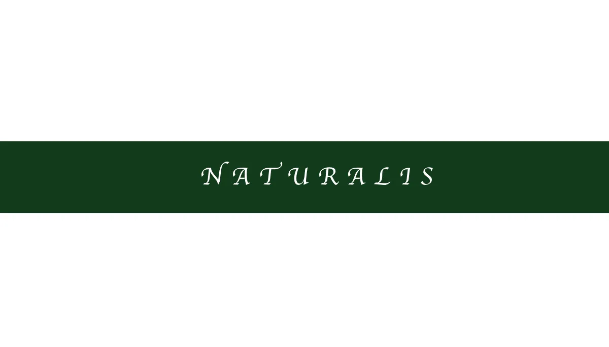 Free Naturalis Business Card Template to Edit Online