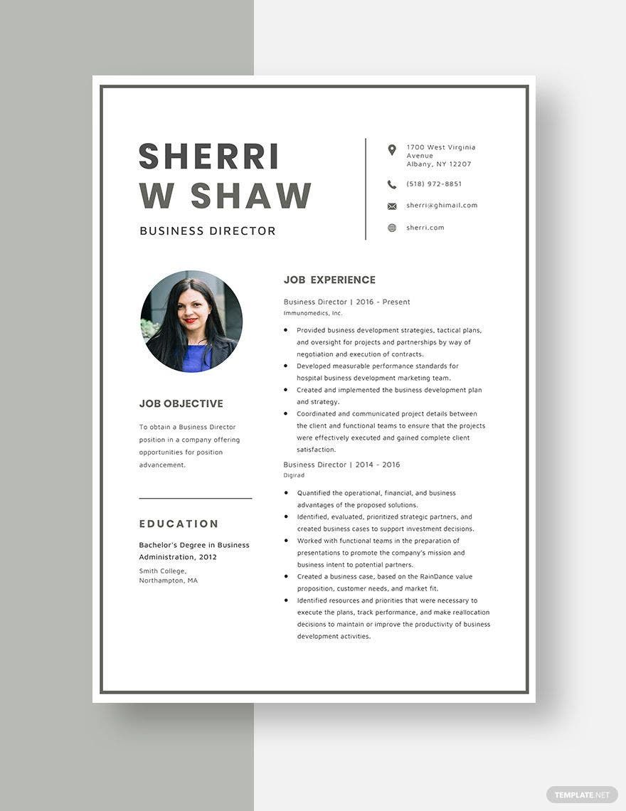 Business Director Resume in Word, Apple Pages