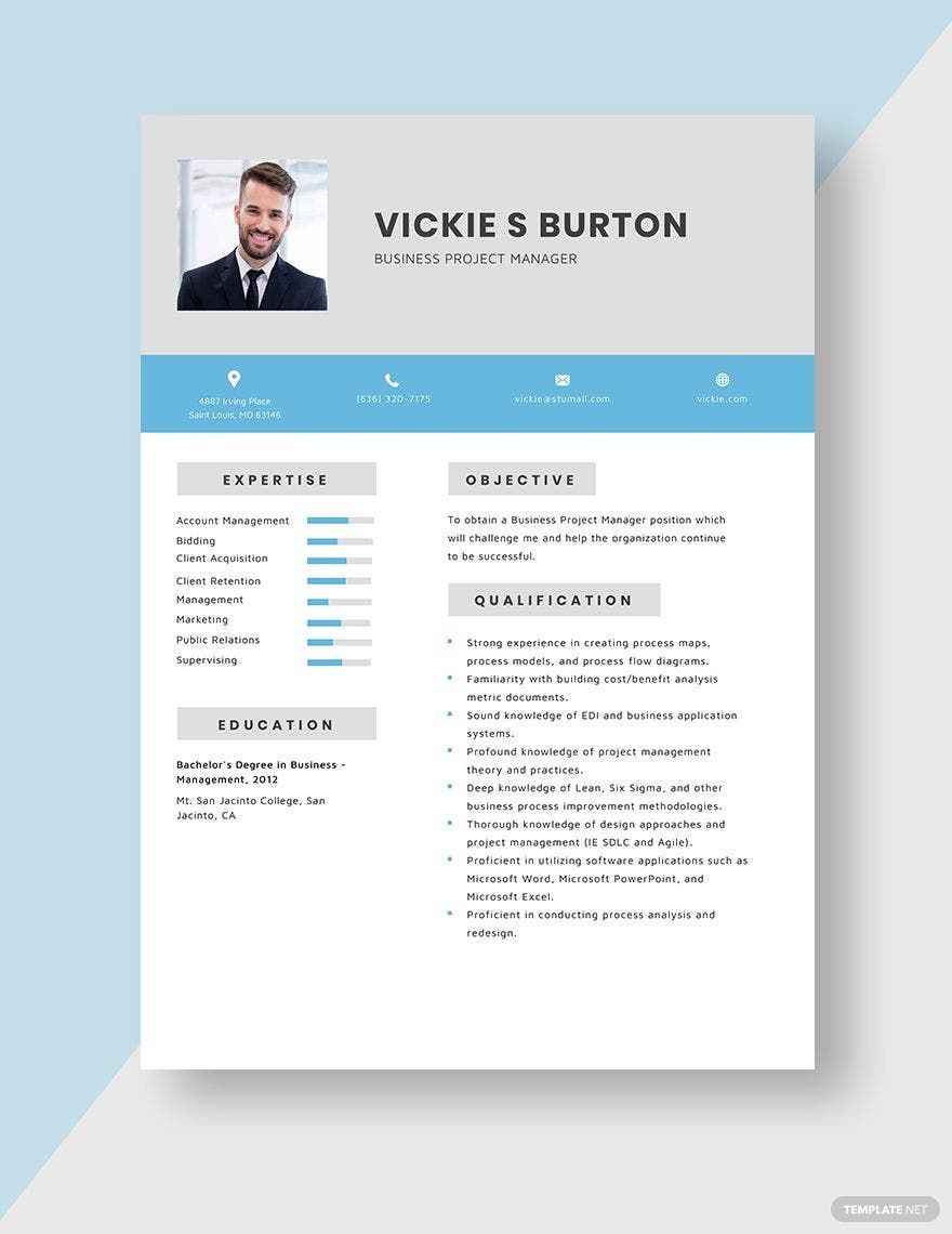 Business Project Manager Resume