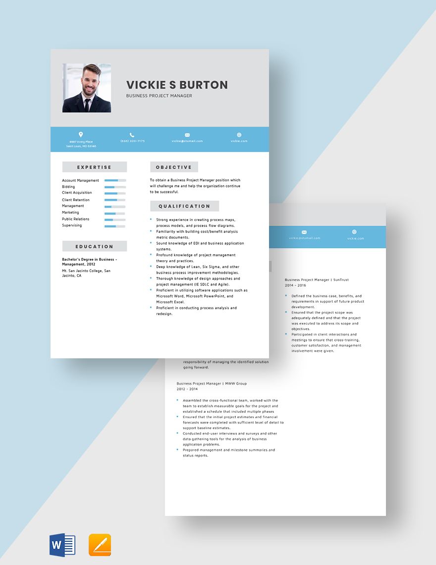 Business Project Manager Resume