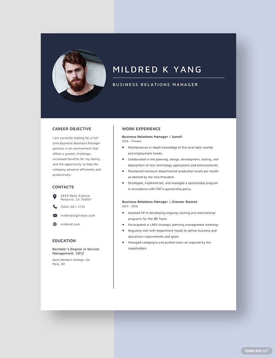 Business Relations Manager Resume